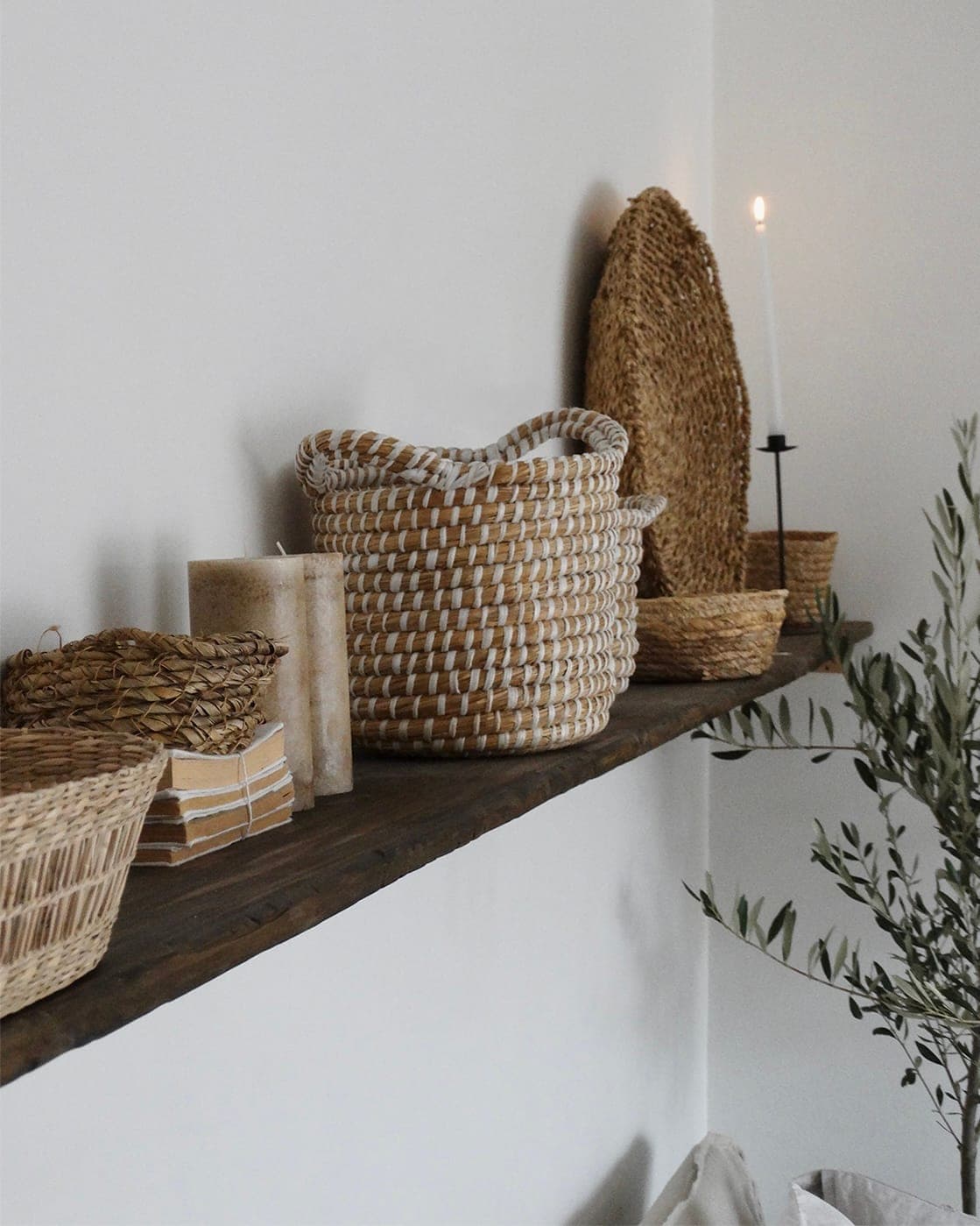 Proyecto VN — ambiente 1