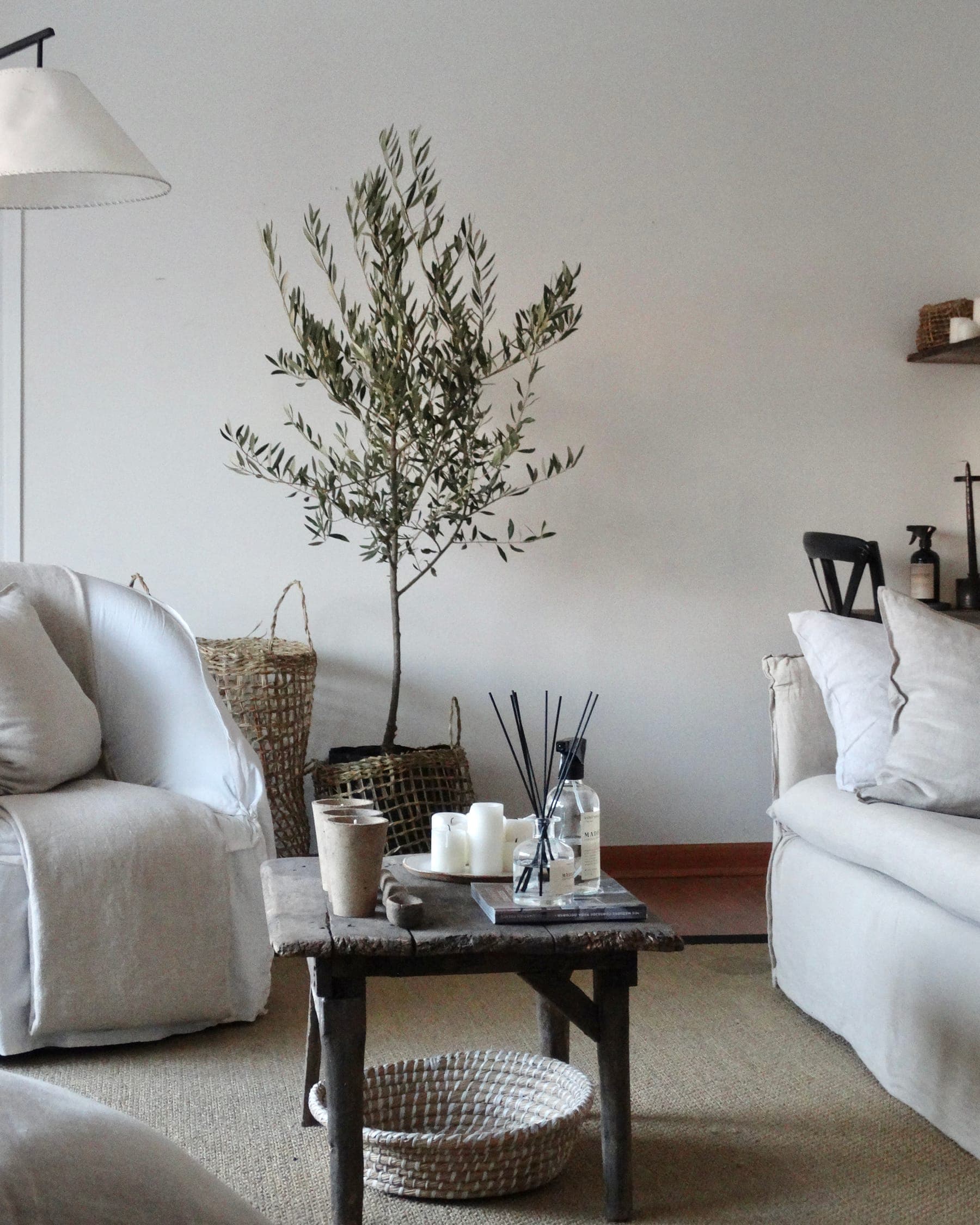 Proyecto VN — ambiente 7