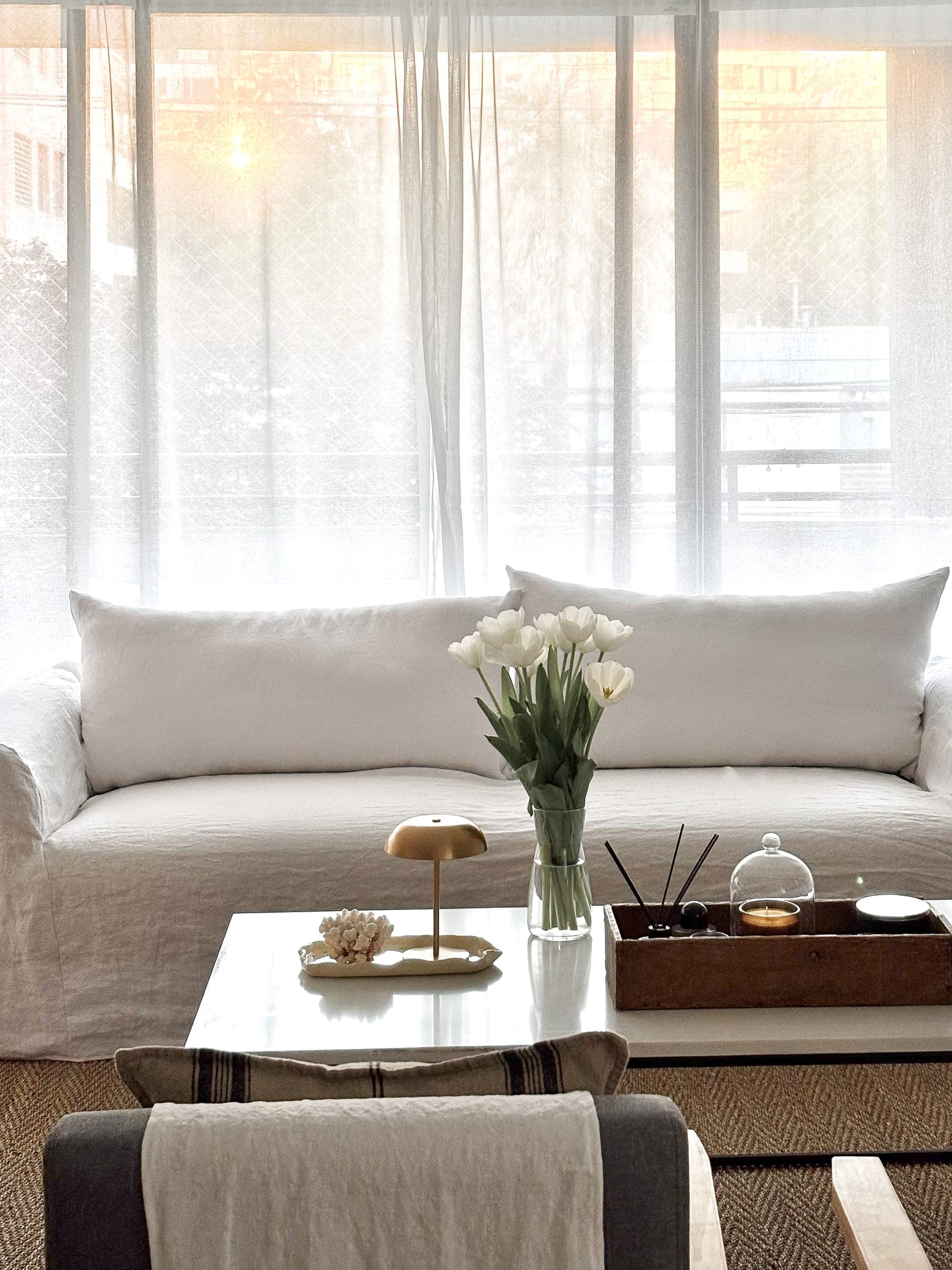 Proyecto ZM — ambiente 5
